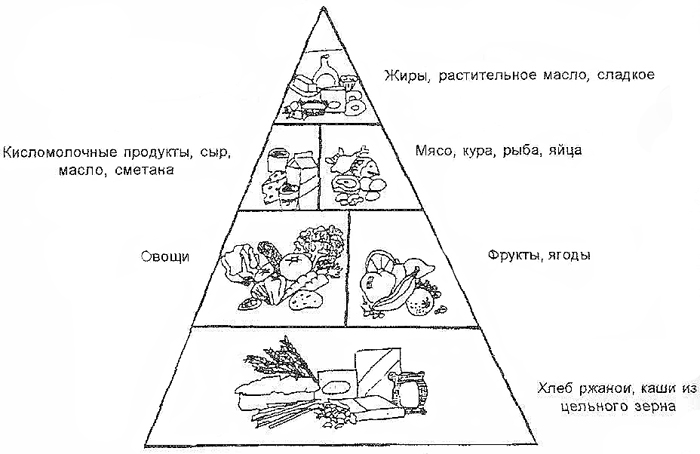 Пищевая пирамида - пирамида правильного питания