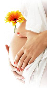 Ароматерапия во время беременности: противопоказания. Возможно ли использование эфирных масел (ароматерапии) во время беременности? Почему беременным может быть противопоказано применение эфирных масел?
