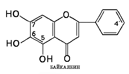 Байкалеин (baicalein) - биоактивное действующее вещество шлемника байкальского