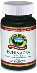 Эхинацея – Echinacea NSP, 50 капсул. Где купить со скидкой 30 %?